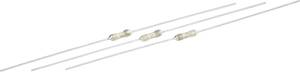 261 10 Stück SICHERUNG FLINK FUSES 6,35 X 31,8 mm 600 mA Amp 250 V